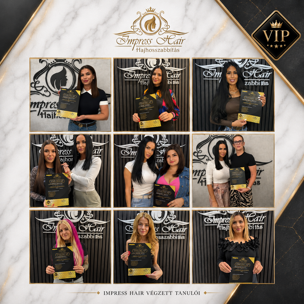 Hair Extension VIP Training
